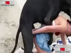 Teen slut fucking with her dog hot young girl on the beach with her pet